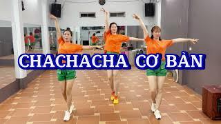 Cha Cha Cha Cơ Bản - chachacha - Tài Hoa Dân Vũ