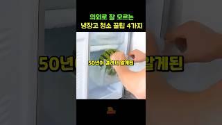 의외로 잘 모르는 냉장고 청소 꿀팁 4가지