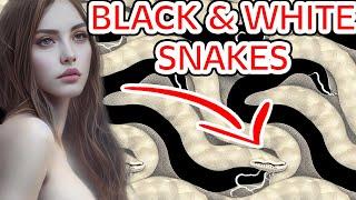 Black And White Snakes: Dream Meaning and Symbolism
