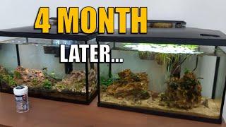 What 4 months can do to an aquarium