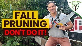 Why NOT To (MAJOR) Prune In The FALL |  Several General Pruning Tips Explained