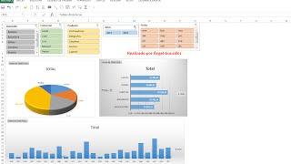 Panel de control (dashboard) con tablas dinámicas y segmentación.