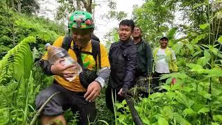 RUMAH SULTAN DI PERKAMPUNGAN TENGAH SAWAH