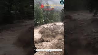 Kedarnath update latest || kedarnath landslide today || kedarnath live darshan today 