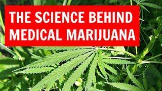 The Science Behind Medical Marijuana