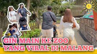 GIN MAIN KE ZOO YANG VIRAL DI MALANG