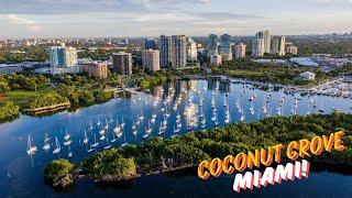 Discover Coconut Grove: The Top 10 Must-See Spots in Miami!