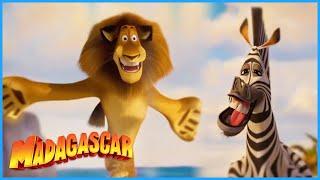 Marty! Alex! Marty! Alex! | Madagascar | Mini Moments