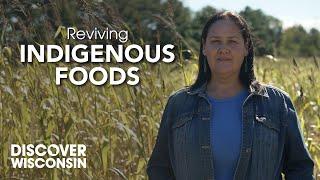 Healing Traditions: Reviving Indigenous Foods with Wild Bearies