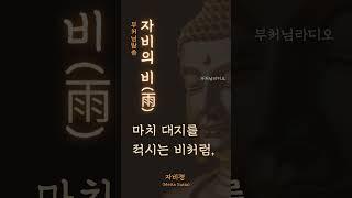 자비의 비(慈悲의 雨) - 부처님의 평등 | 부처님말씀 | 지혜, 명언, 깨달음