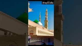 #hara#gumbad#jo#dekhoge#jamana#bhool#jaoge#viral#short#video