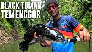 BLACK TASIK TEMENGGOR