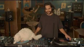 House mix with cats at Le Café des Chats｜DJ Houseum