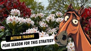 Peak Season to Unlock This Very Effective Betfair Trading Strategy