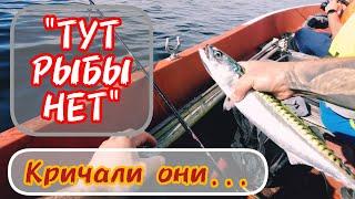 Морская Рыбалка в Норвегии / Поймали Все Что Можно