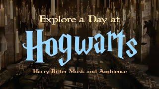 Harry Potter | Music and Ambience | Explore a Day at Hogwarts