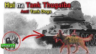 Hui na Tank Thugaiba || Anti Tank Dogs || DAshil 2.0