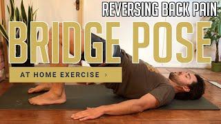 The Bridge Pose For SPECIFICALLY Reversing Back Pain (At Home Exercise)