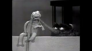 The Muppets - "Glow Worm" on The Jack Paar Show (1964)