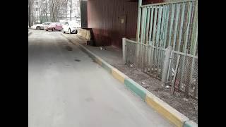Предупреждение о кошках на улице Удальцова Москва
