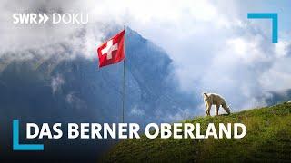 Das Berner Oberland – Ein Sommer in den Schweizer Alpen | SWR Doku