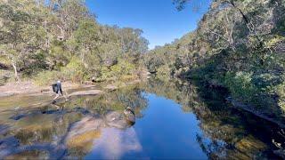 Engadine Lagoon - Barden Ridge Loop