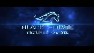 Black Horse Pictures, Pvt. Ltd. (2016)