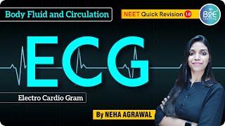 Zoology | Body Fluid and Circulation | ECG - Electro Cardio Gram | NEET | B2E Learning