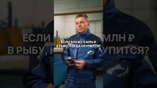 Сколько можно заработать на рыбе, если вложить 5 млн рублей? #бизнес #бизнесидеи #заработок #узв