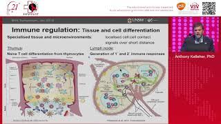 Immune regulation