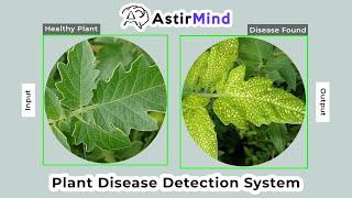 Plant Disease Detection System | AstirMind