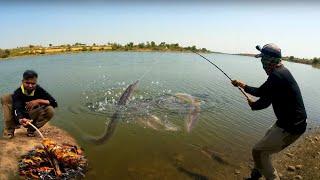 Amazing Baam fishing and Cooking||मी पकडले माझ्या आयुष्यातले सर्वात मोठे वाम मासे आणि केली कुकिंग