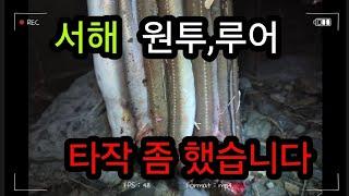 갯바위 루어와 원투낚시, 오랜만에 타작좀 했어요~