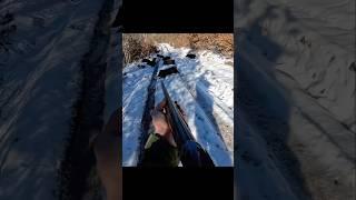 охота на кабана на снегу .#cinghiale #chasse #wildboar #охота #дикий кабан#hunting