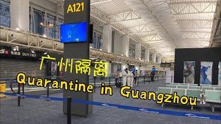 广州隔离｜Quarantine in Guangzhou