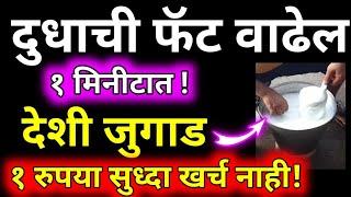 गाय म्हैस च्या दुधाची फॅट लगेच वाढेल फक्त करा हा जुगाड।How to increase fat in cow/Buffalo milk home