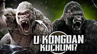 KING KONG JORJGA QARSHI | KIM KUCHLI? | GODZILLA VA KONG OʻZBEK TILIDA TAHLIL