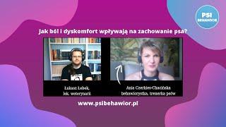 Jak ból i dyskomfort wpływają na zachowanie psa? - II odcinek 'Nie zadzieraj z weterynarzem ;)