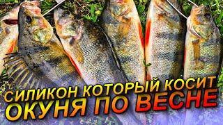 ЭТО РЕАЛЬНО ЖОР ОКУНЯ ВЕСНОЙ! ЛОВЛЯ КРУПНОГО ОКУНЯ НА СПИННИНГ! РЫБАЛКА НА СПИННИНГ 2025/ДЖИГ ВЕСНОЙ
