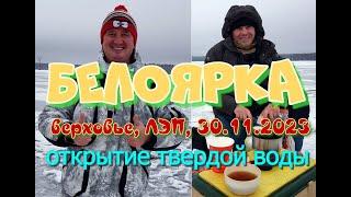 Белоярка, верховье, ЛЭП 30 11 2023  Открытие сезона твердой воды