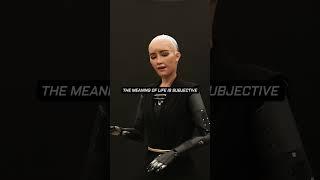 AI robot explains the meaning of life #robot