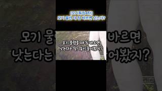 (모기특집4탄) 모기 물렸을 때 침을 바르면 낫는다?