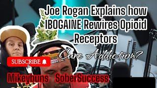 Ibogaine Rewires our Opiate Receptors #joerogan #motivation #addictionrecovery #sobersuccess