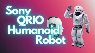 Sony QRIO Humanoid Robot Spotted In The Wild