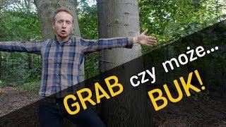 "Chciałby Bóg żeby buk...?" Czy może grab? - o Lesie #18