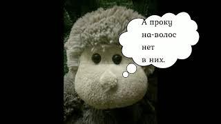 Камидуллин Вильдан. Мартышка и очки