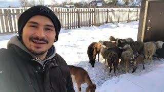 ЖИЗНЬ В ДЕРЕВНЕ! ИЗ ГОРОДА В ДЕРЕВНЮ! КУПИЛИ ДОМ!
