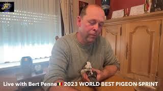 Live with Bert Penne 2023 WORLD BEST PIGEON SPRINT