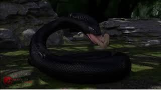 Titanoboa Eats Girl (Snake Vore)