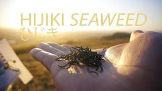 How Hijiki Seaweed Effects Your Digestion | Planet Soane